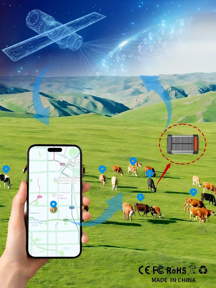 GPS locator for livestock